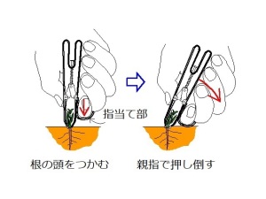 ��������̎g����